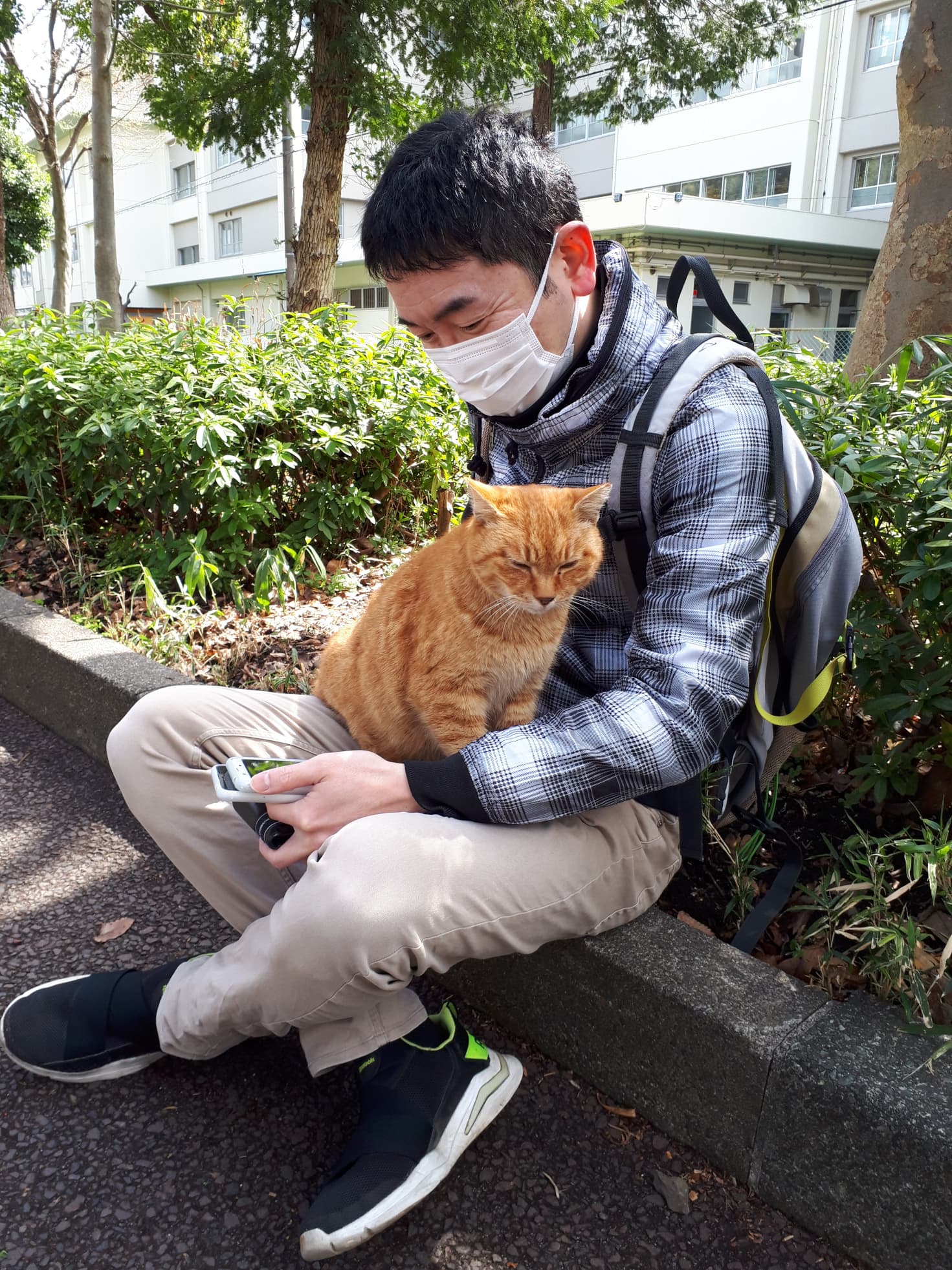 cat on lap